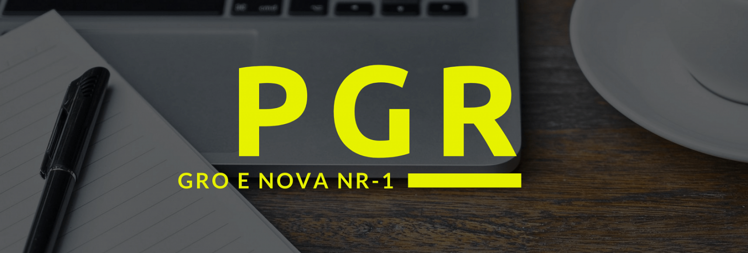 PGR Tudo o que você precisa saber sobre GRO e a nova NR1